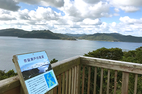 小田河原展望台